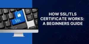 How SSL/TLS Certificate Works