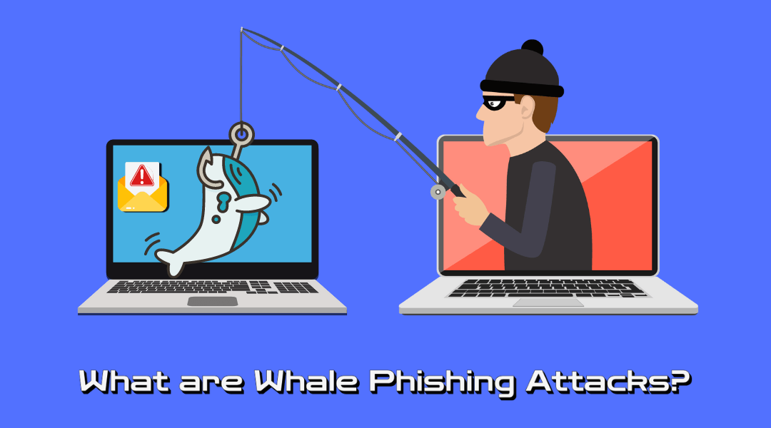 What are Whaling Phishing Attacks? Methods, Examples and Prevention