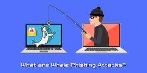 what are whale phishing attacks?