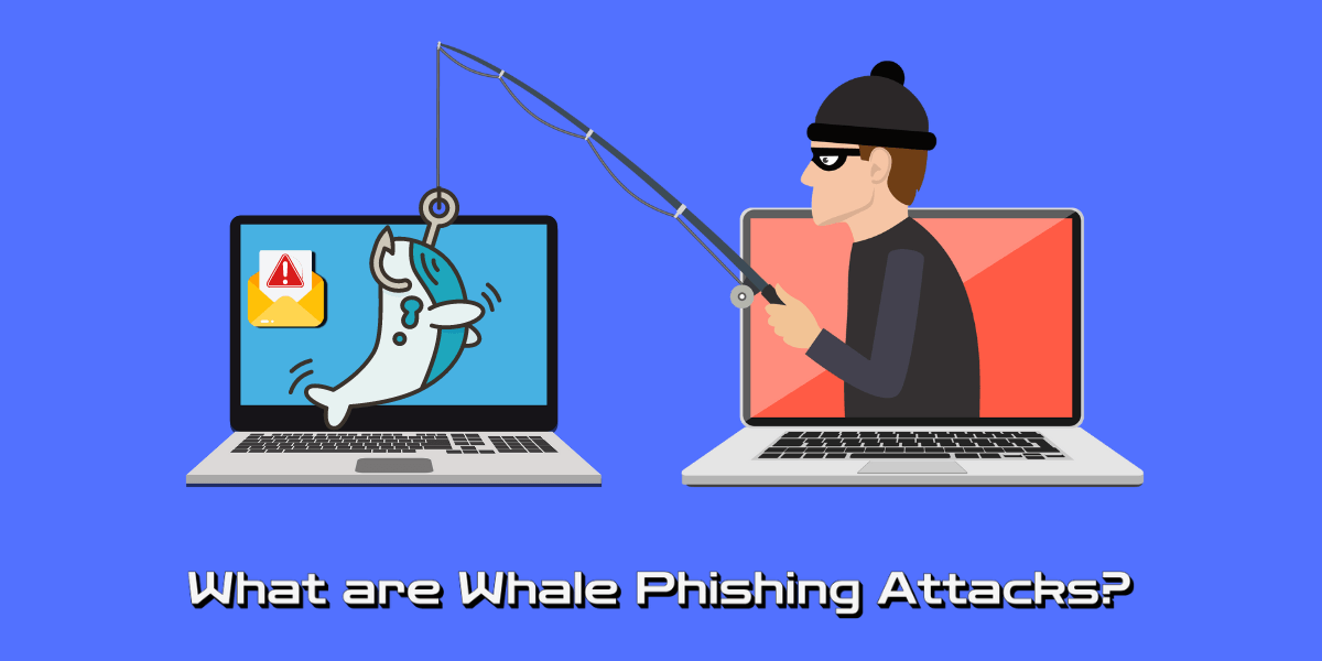 what are whale phishing attacks?