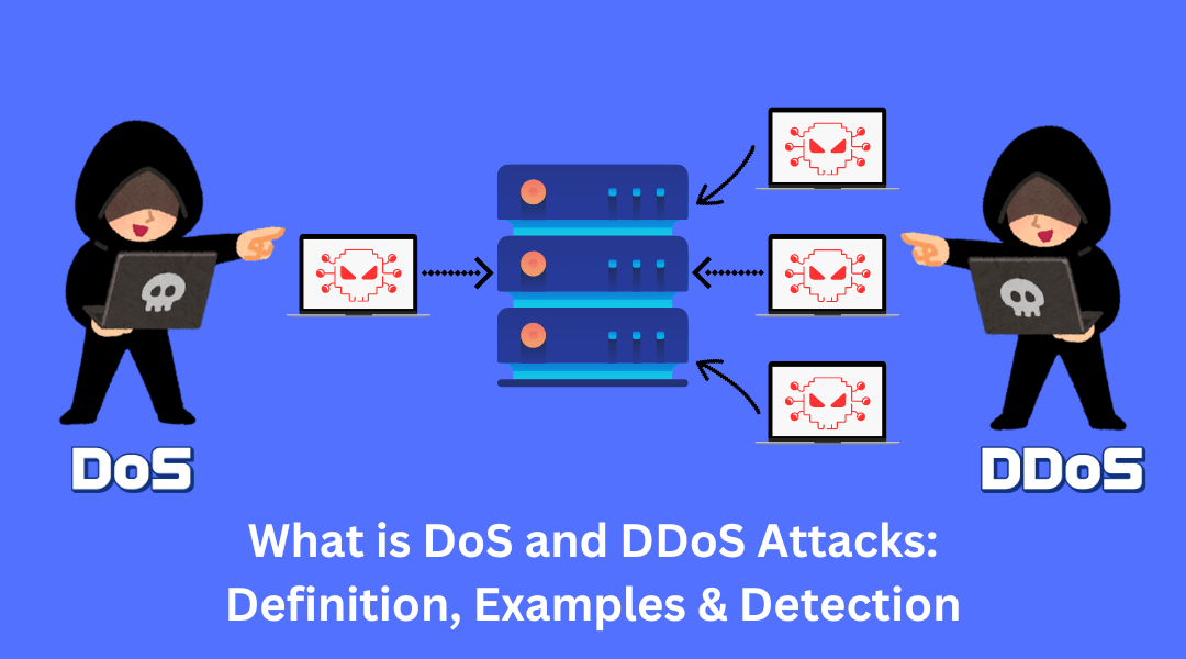 What is DoS and DDoS Attacks: Definition, Examples & Detection