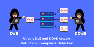 what is dos and ddos attacks - definition, examples & detection