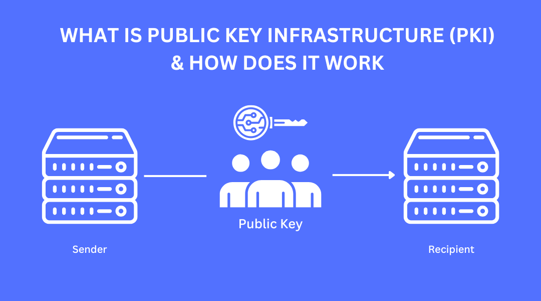 What Is Public Key Infrastructure (PKI) & How Does It Work?