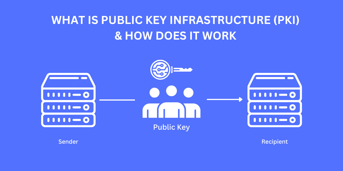 what is public key infrastructure (pki) & how does it work